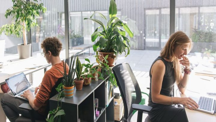 ERP Cube43 pour TPE